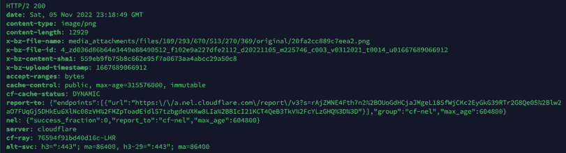 Screenshot from terminal showing the HTTP response headers received from a cURL request