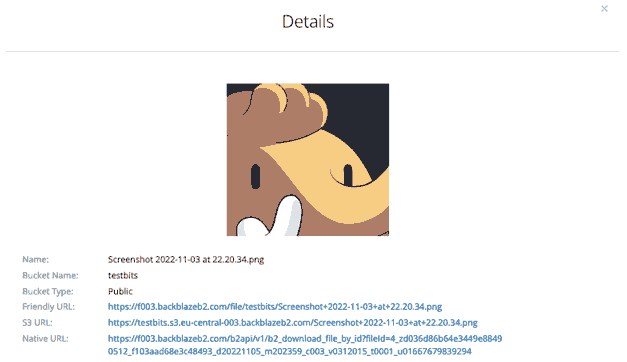 Showing a test image uploaded to a Backblaze bucket with metadata such as filename, friendly URL, S3 URL, native URL